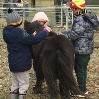FERME DES 2 RIVIERES