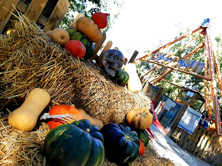 ANIMA'LOWEEN, LE BURGAUD