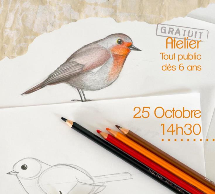 atelier dessin oiseaux