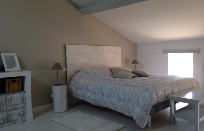 LE MAS DE BRIQUEPIERRE