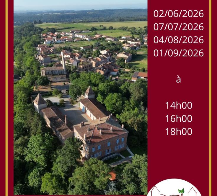 Visitez le Chateau de Puydaniel !_1
