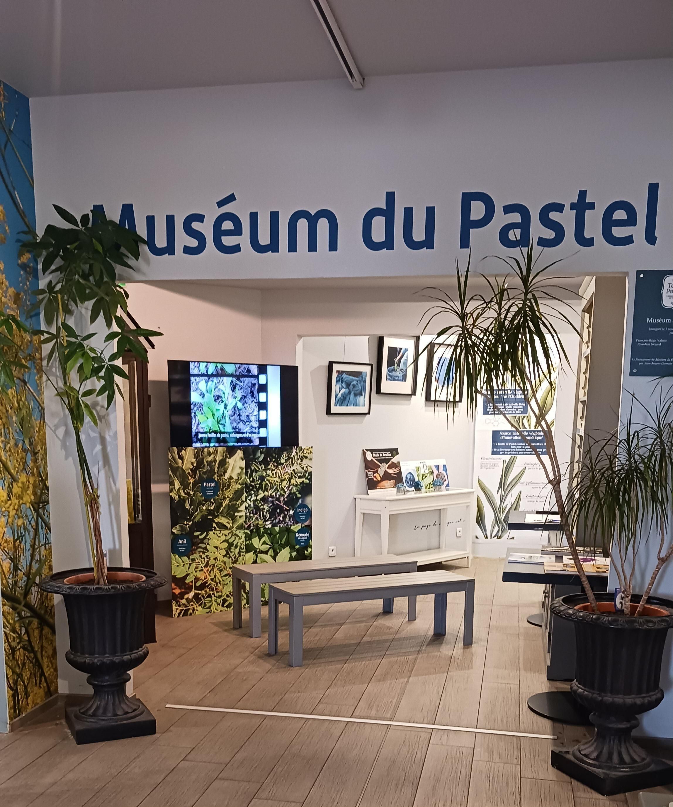 ENTRÉE AU MUSÉUM DU PASTEL GRATUITE