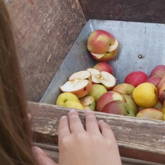 Atelier jus de pomme - Estaden, Aspet