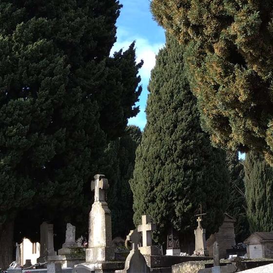 Balade Urbaine du cimetière Rapas à Saint-Cyprien