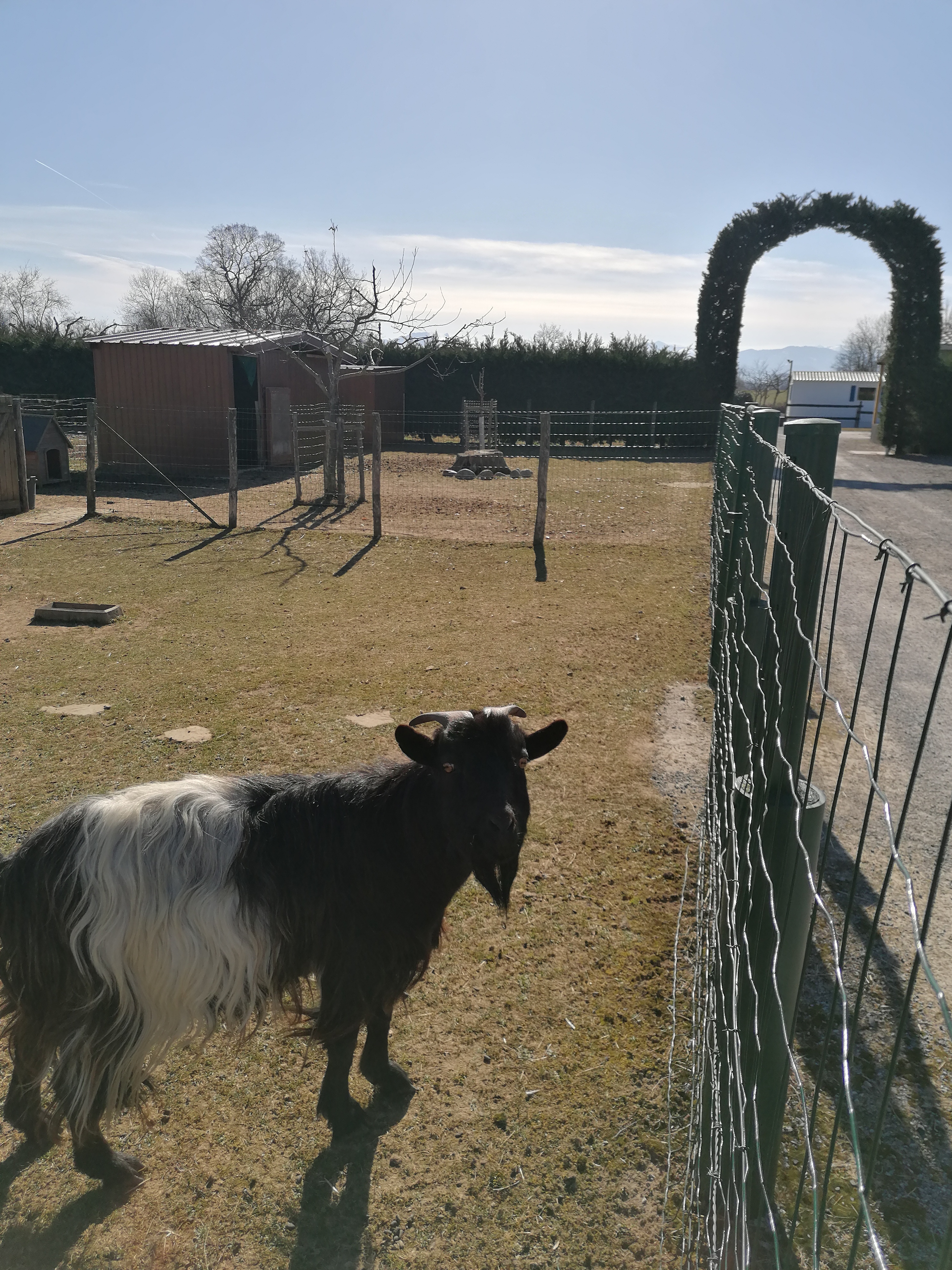 CAMPING A LA FERME BAPTISTOU - photo 2