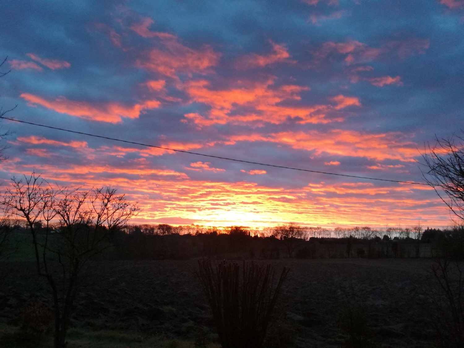 TINY CHALET DANS LA CAMPAGNE LAURAGAISE - photo 5