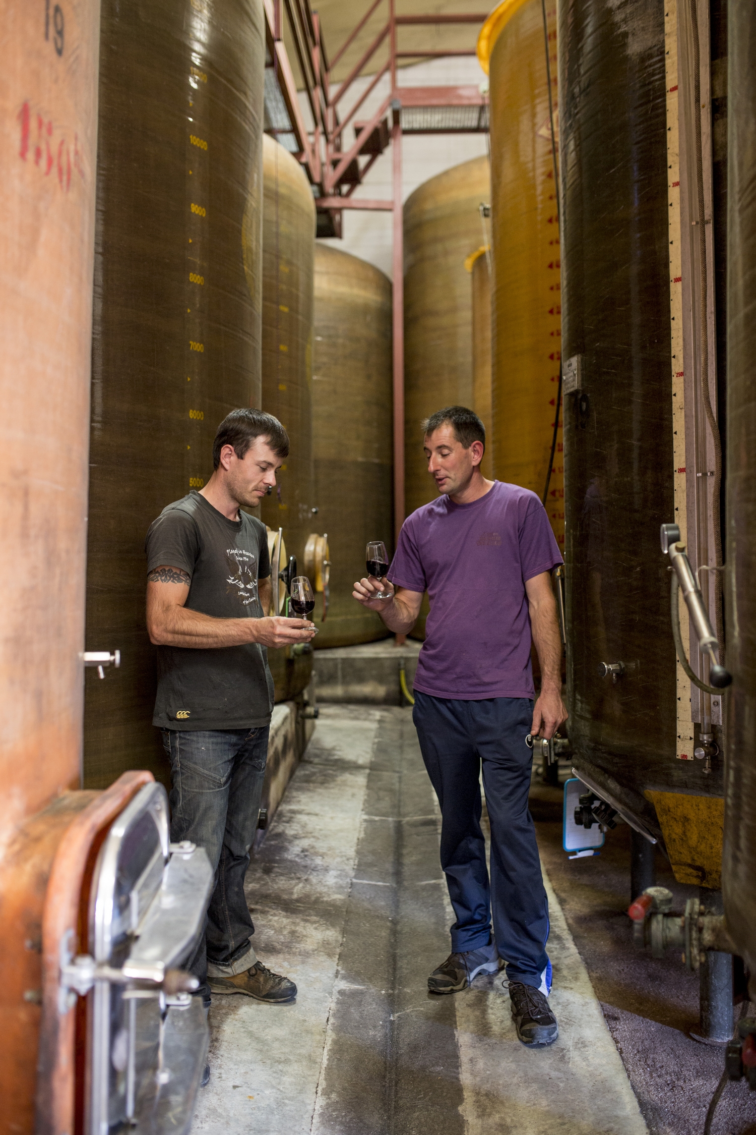 CHATEAU LA COUTELIERE — Bodegas y Degustaciones à Haute-Garonne