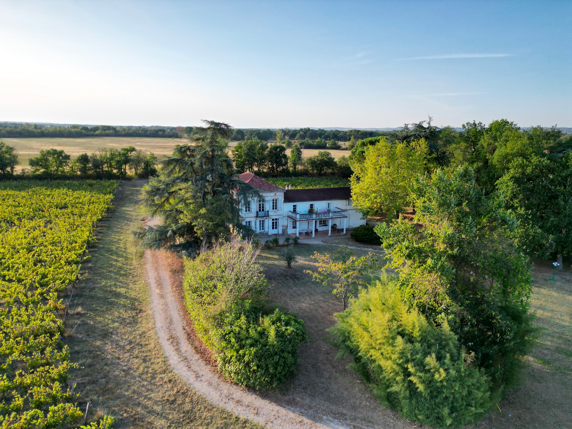 chateau la loge 1 VILLEMATIER