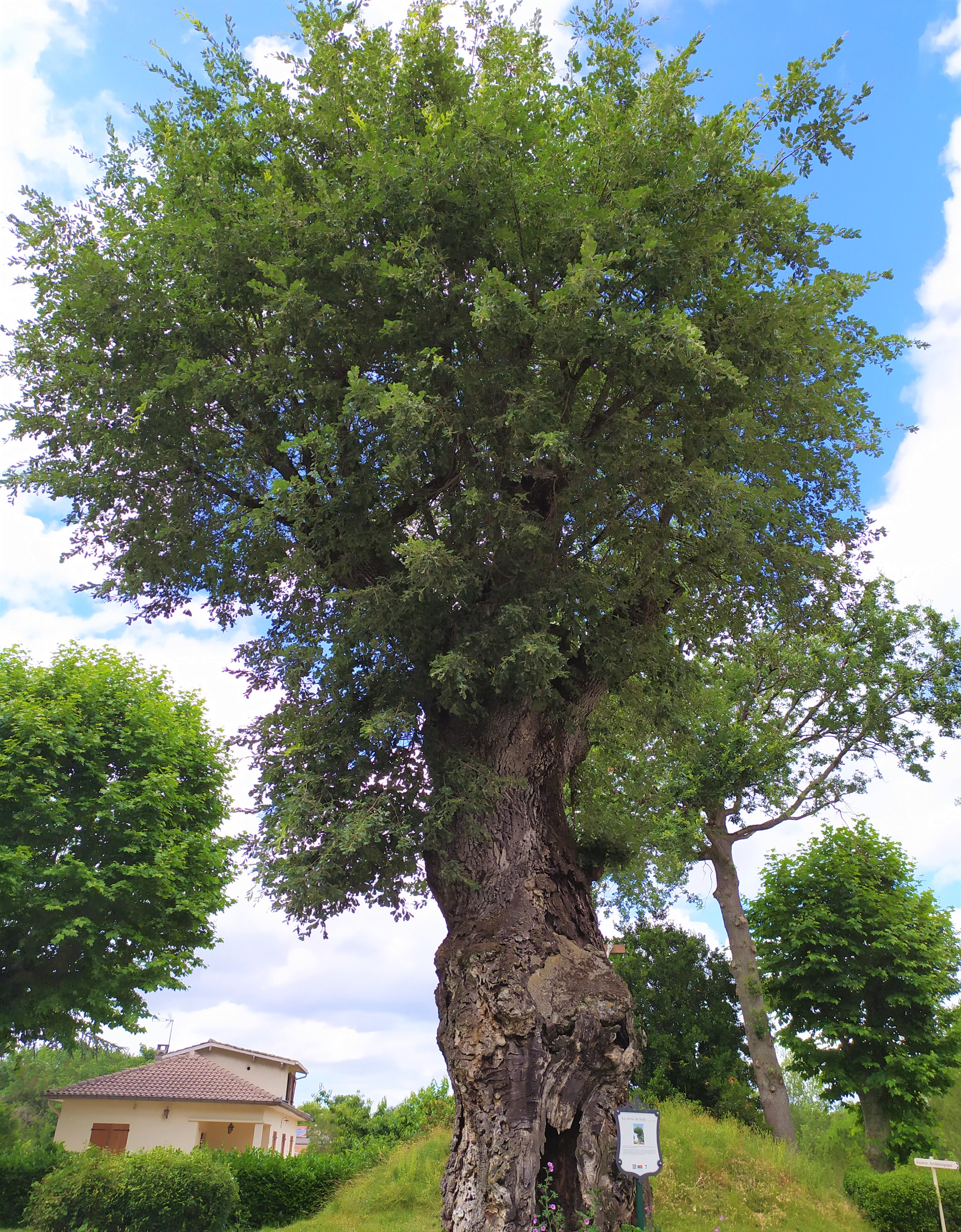 Tourisme Coteaux du Girou 