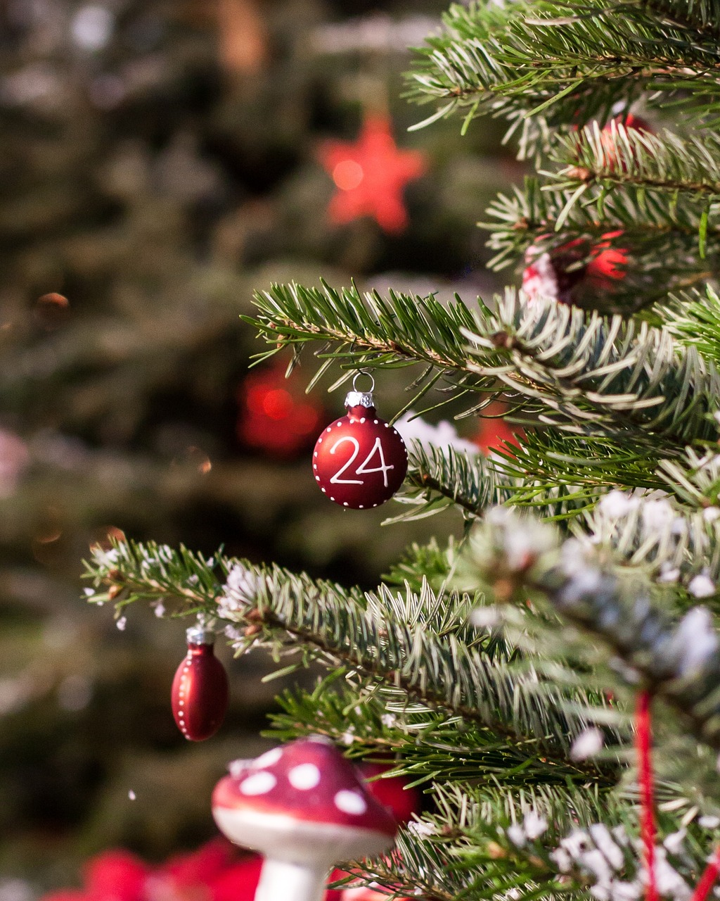 THÉATRE "CONY LE SAPIN" Le 7 déc 2024