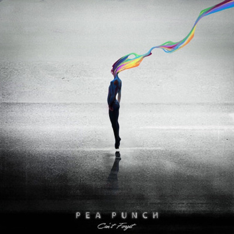 CONCERT PEA PUNCH, LE BURGAUD