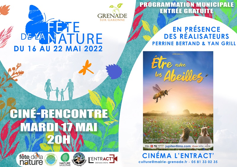 declinaison-cine-3, GRENADE