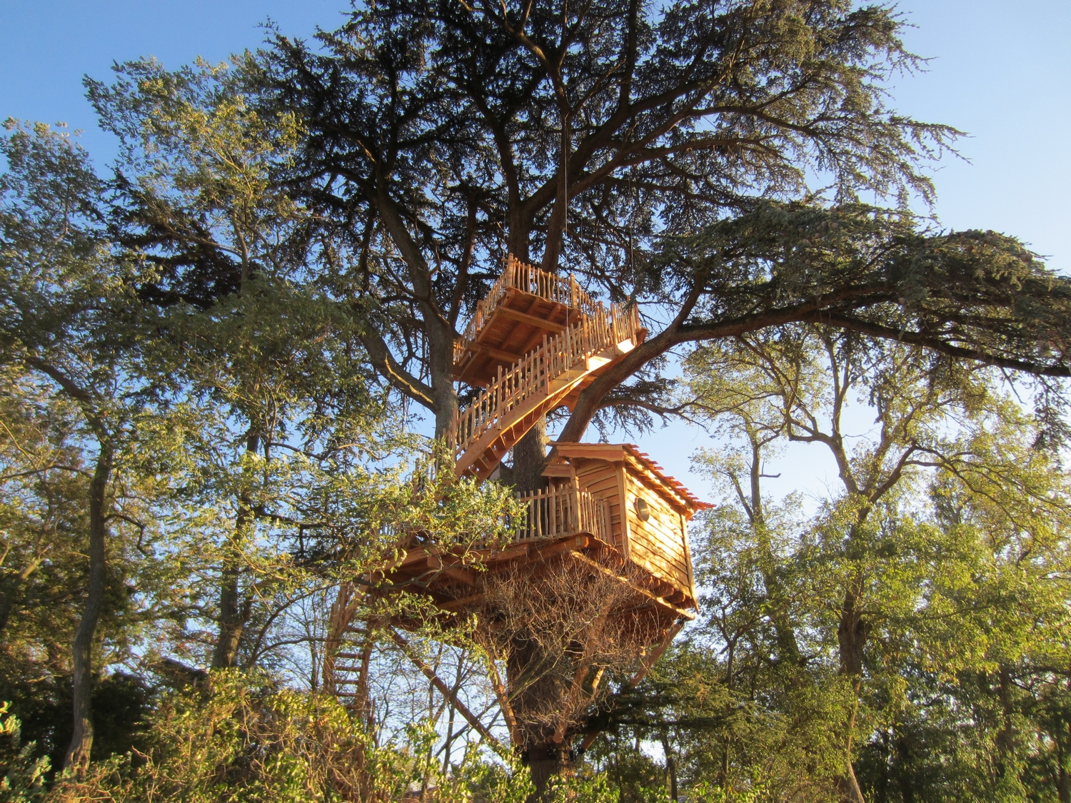 ESPRIT CABANE : LA CABANE DANS LES ARBRES