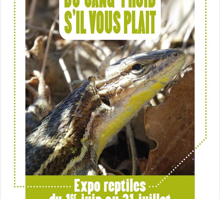 expo-reptile
