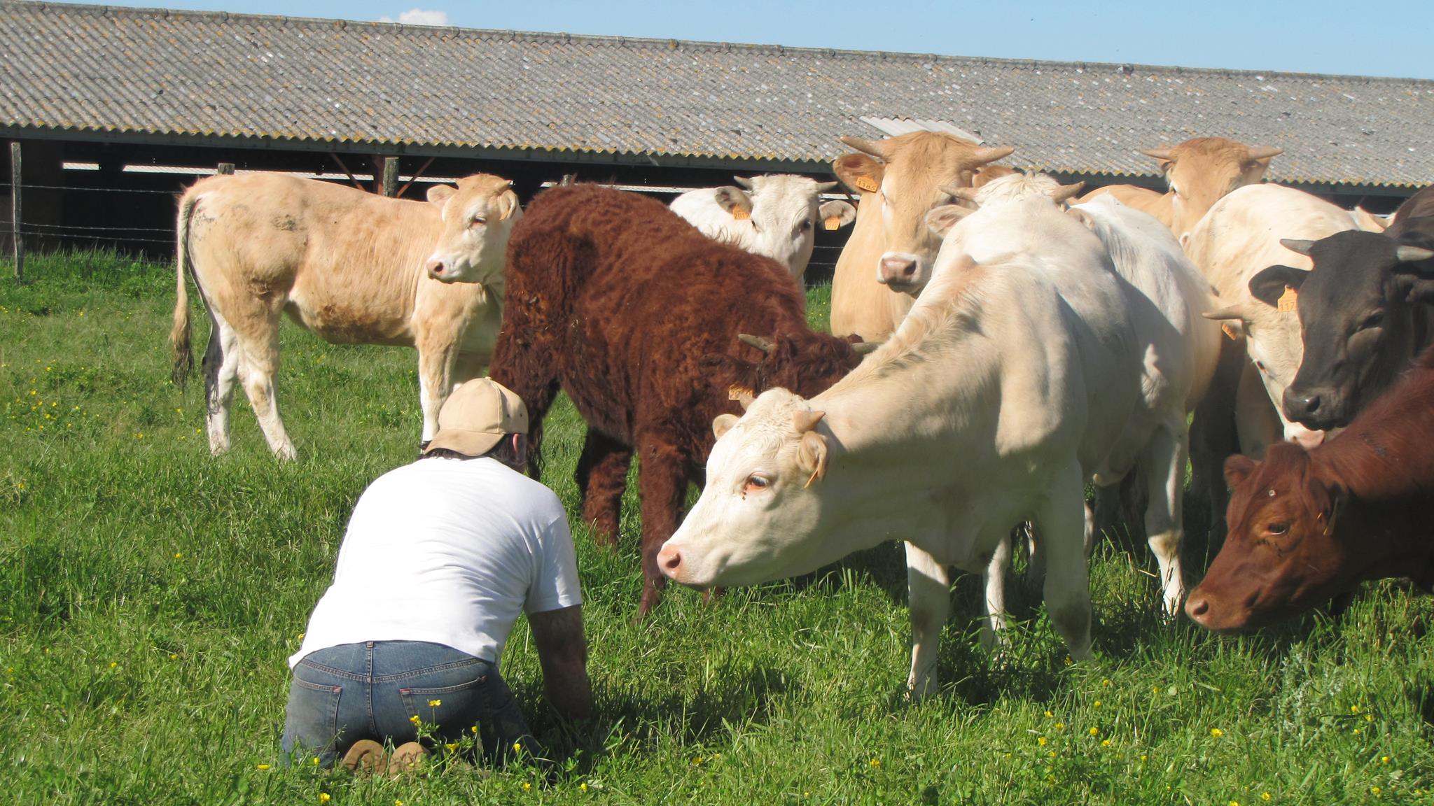 LA FERME DE LA TOUNINE