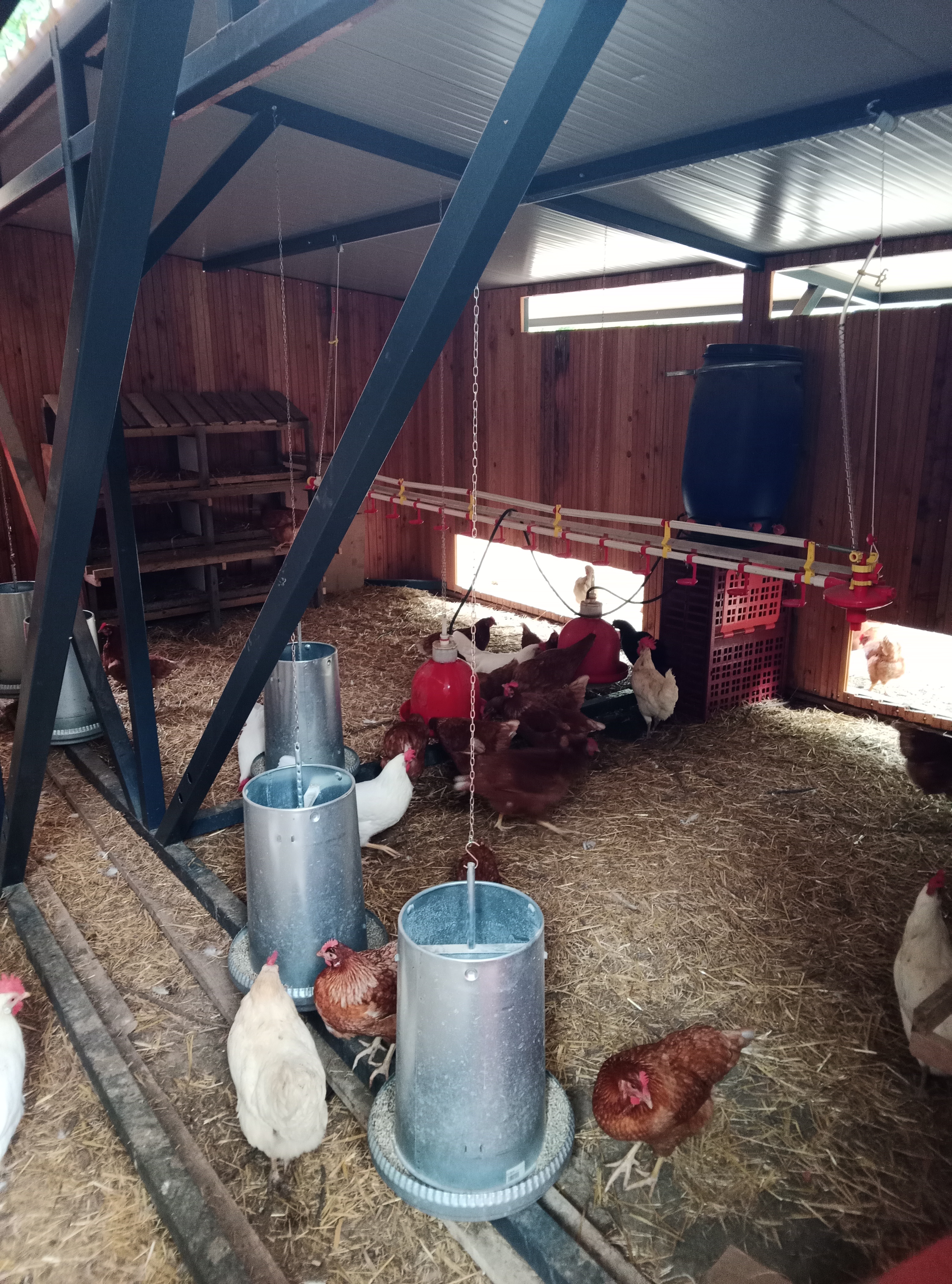 ferme rostaing (3)