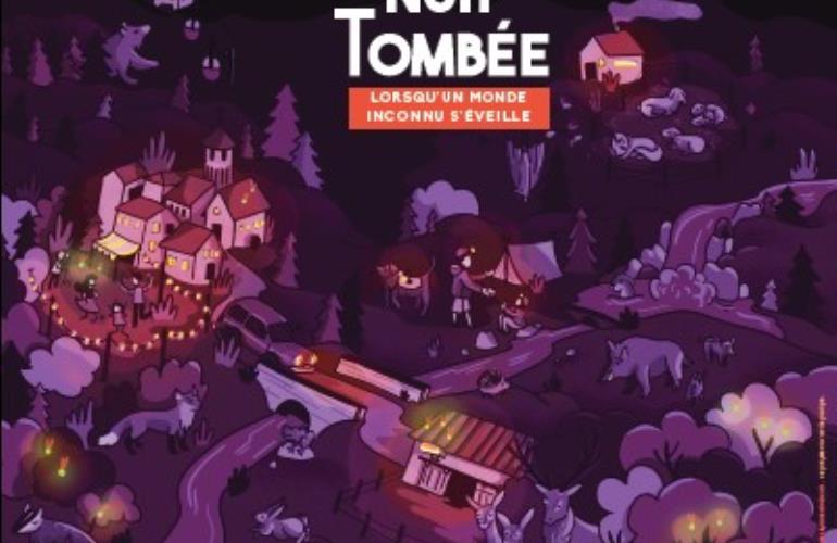 festival-nuit-tombée-pyrenees31