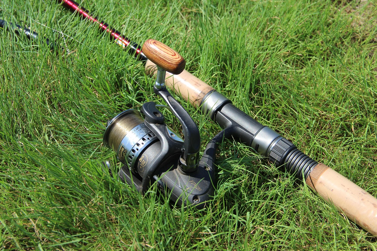 MATINÉE DE PÊCHE