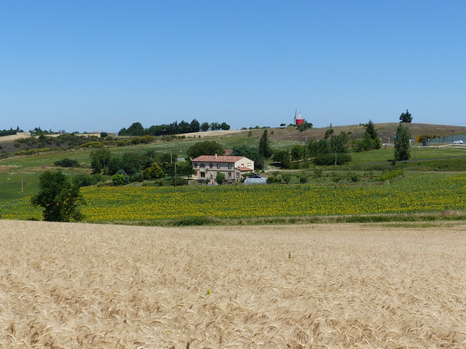 GITES DES CAMPARROS : LES TOURNESOLS, Nailloux - photo 6