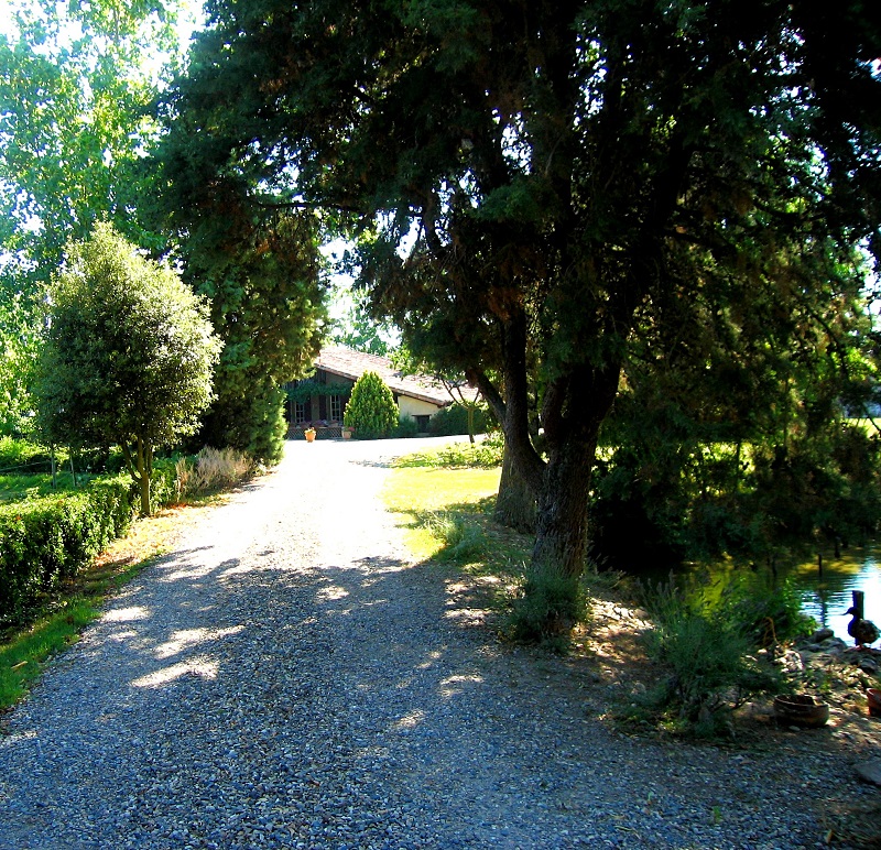 LAPEYR'ANE, LE BURGAUD