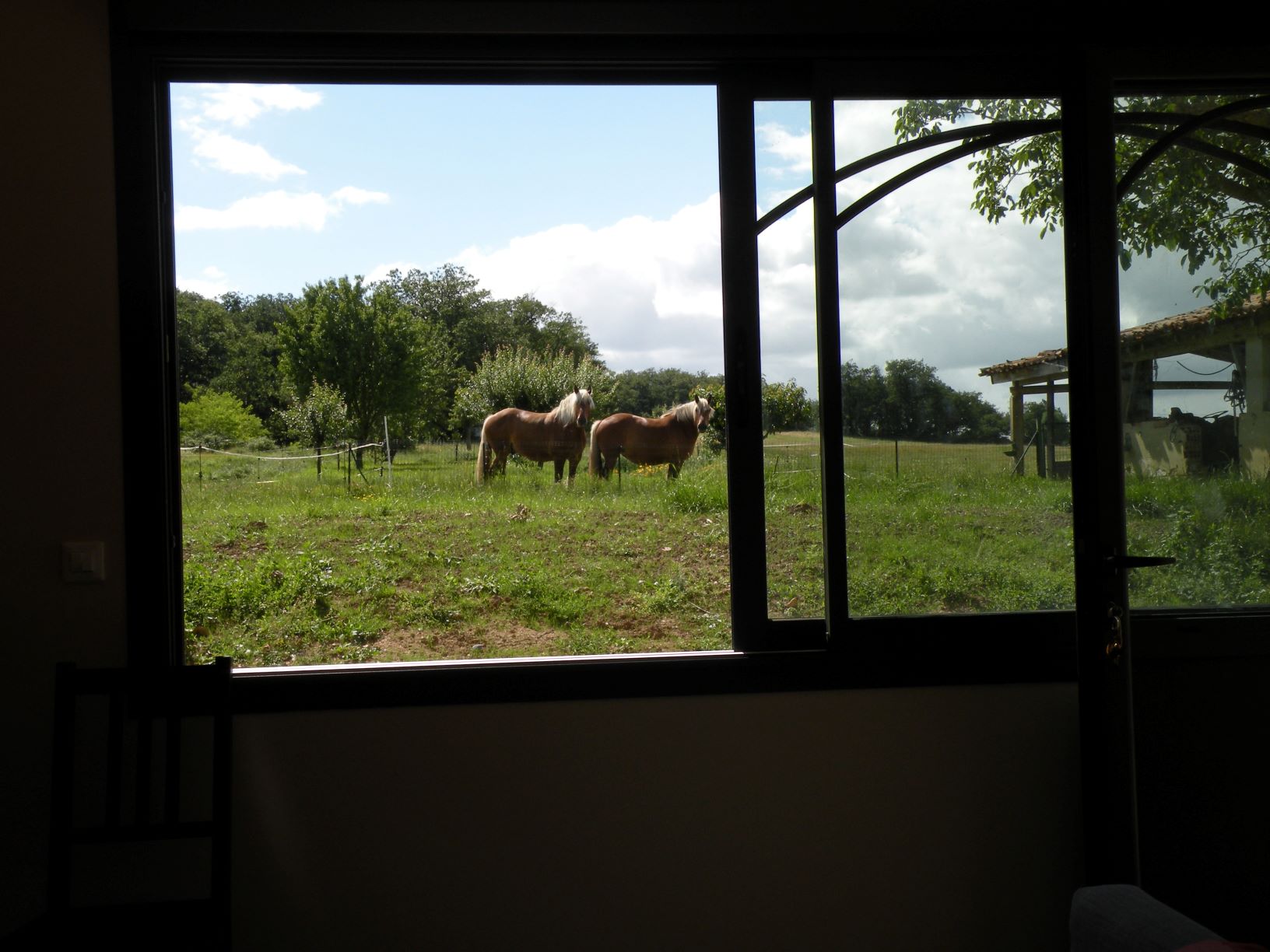 LE GÎTE DU RAYAT, Muret - photo 5
