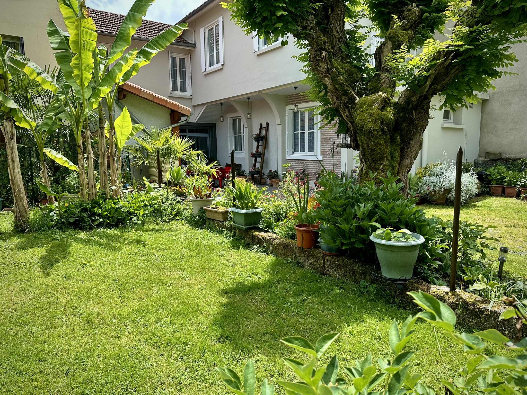 LA TERRASSE FLEURIE, Salies-du-Salat