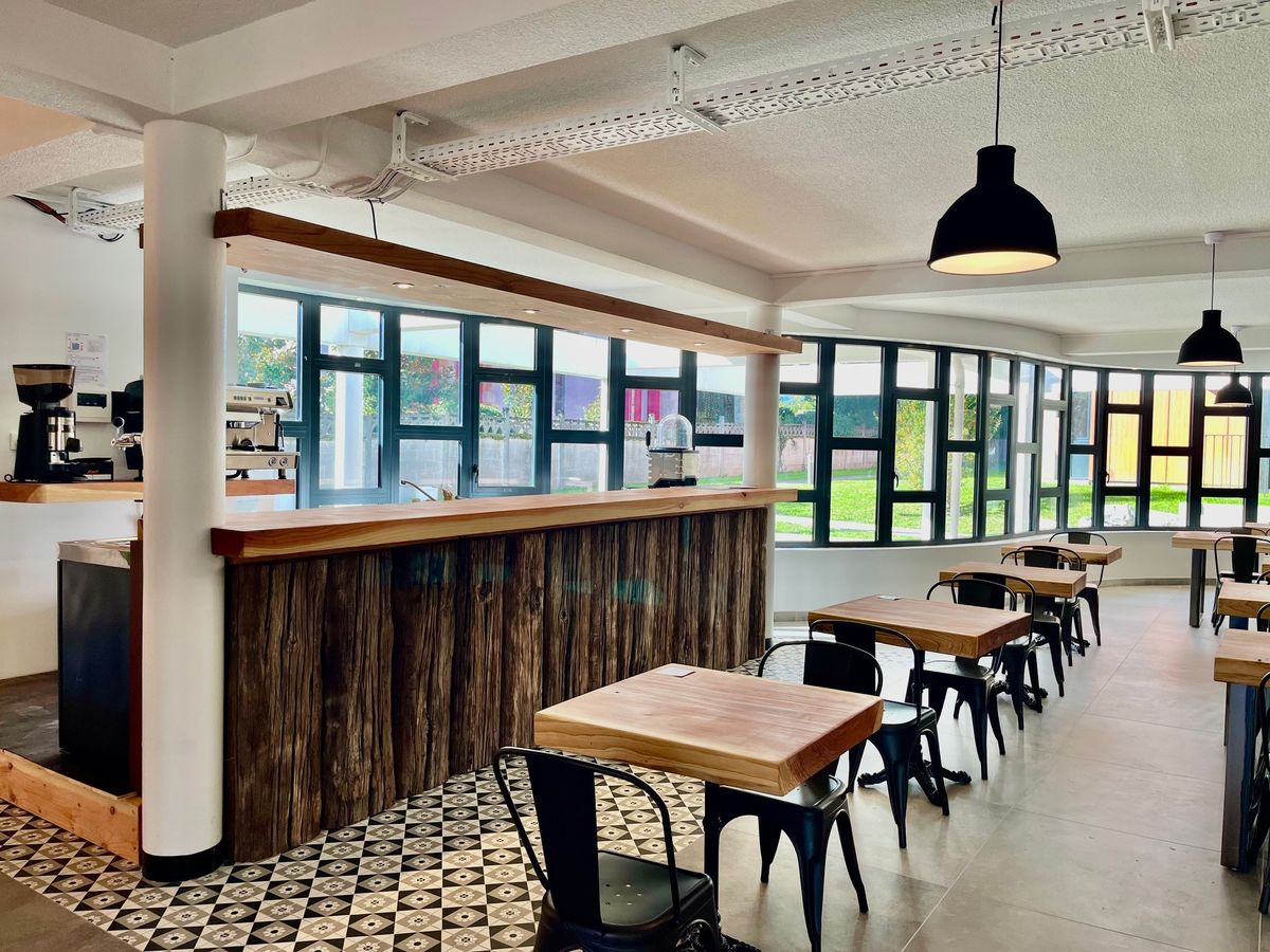 LES CIMES DU MONT-ROYAL, Montréjeau - photo 6