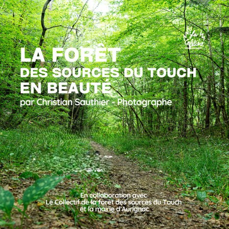 EXPOSITION - LA FORÊT DES SOURCES DU TOUCH EN BEAUTÉ