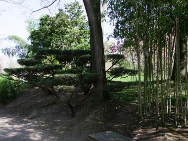 jardin japonais 1 TOULOUE
