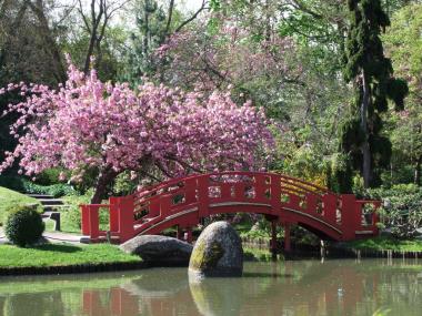 jardin japonais 9 TOULOUE