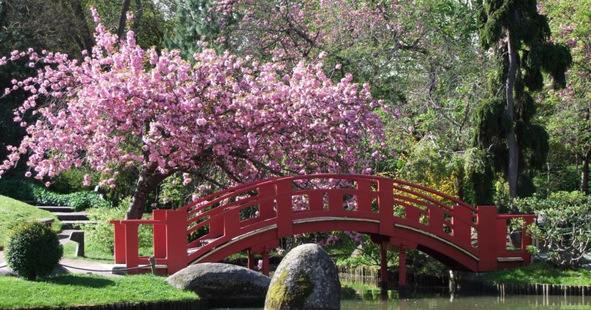 Jardin japonais de Toulouse : guide & infos pratiques