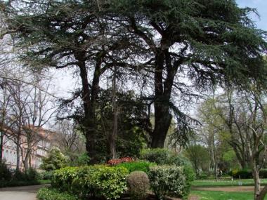 jardin royal 1 TOULOUSE