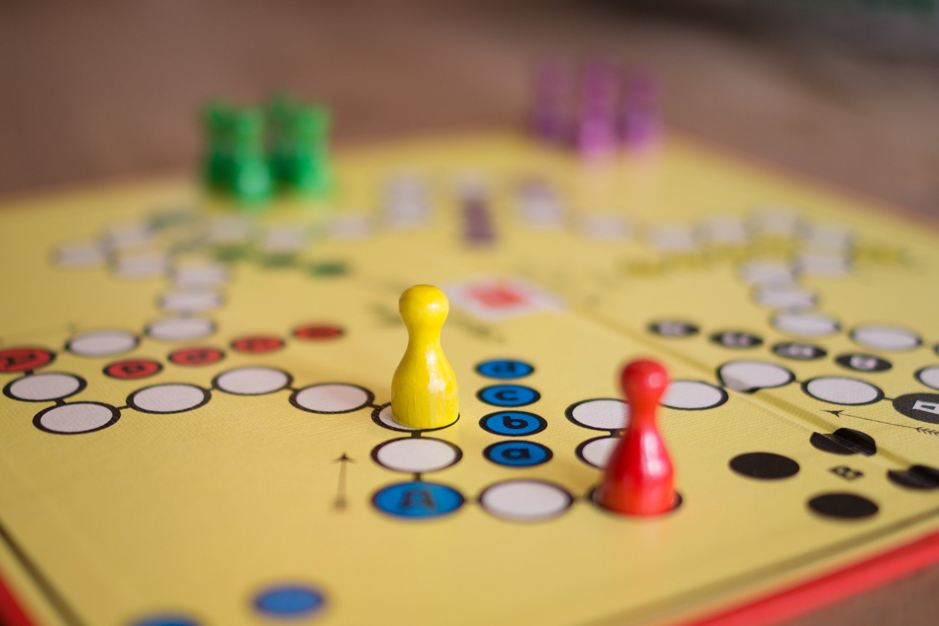 SÉANCE JEUX DE SOCIÉTÉ AUTOUR DE LA NATURE