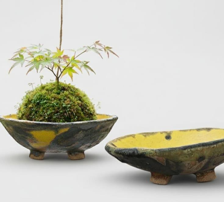 Kokedama style