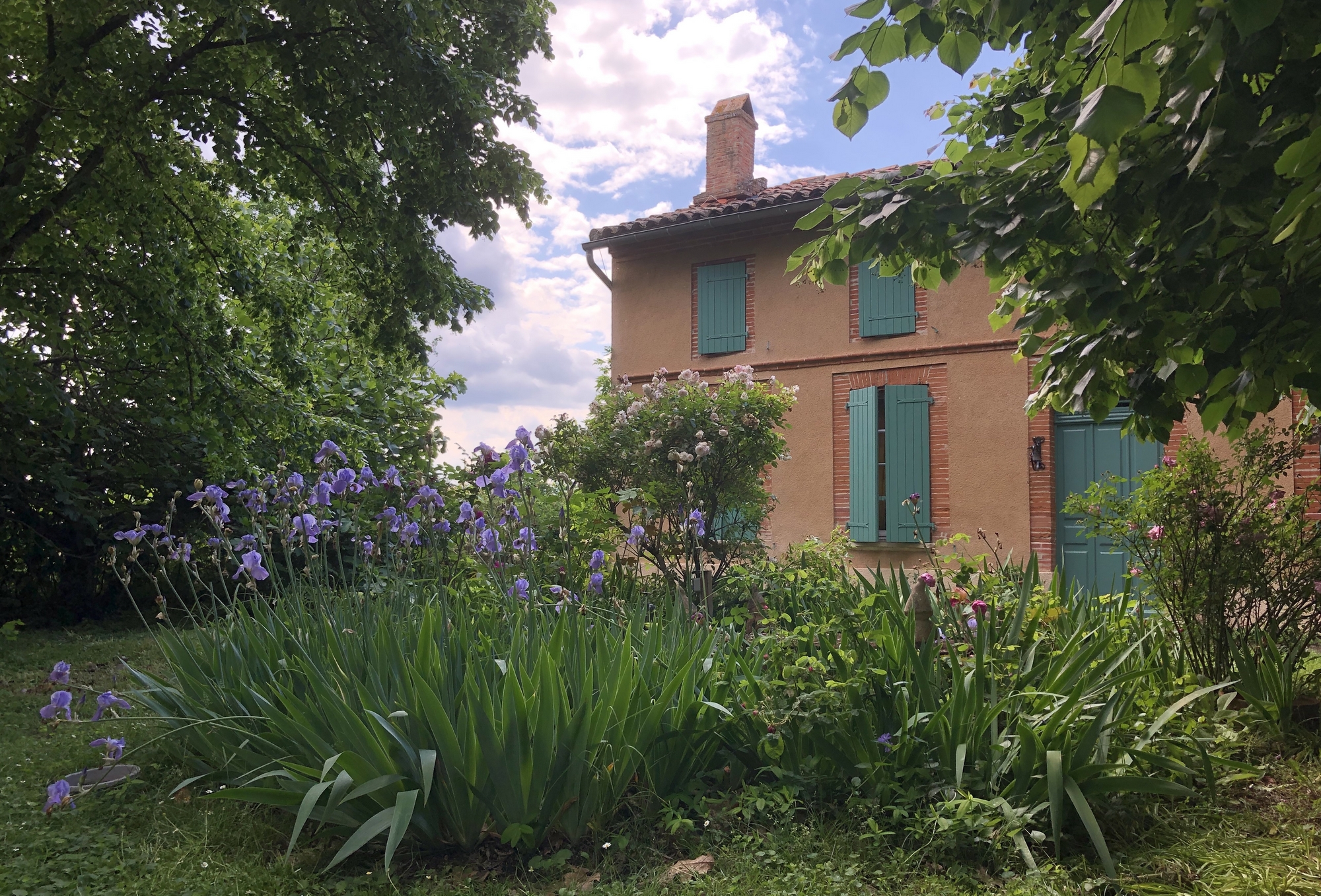 LA CLOSERIE DE L'AUTAN, Fenouillet - photo 5