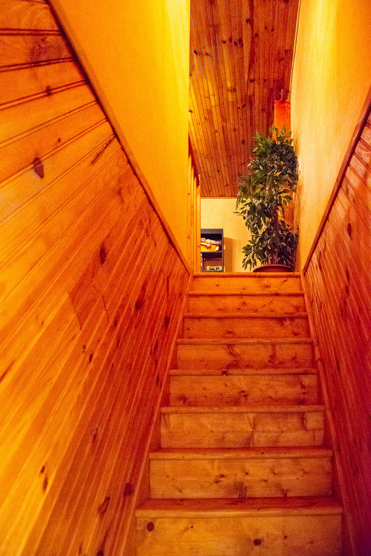 LA RECLOT, Herran - photo 3