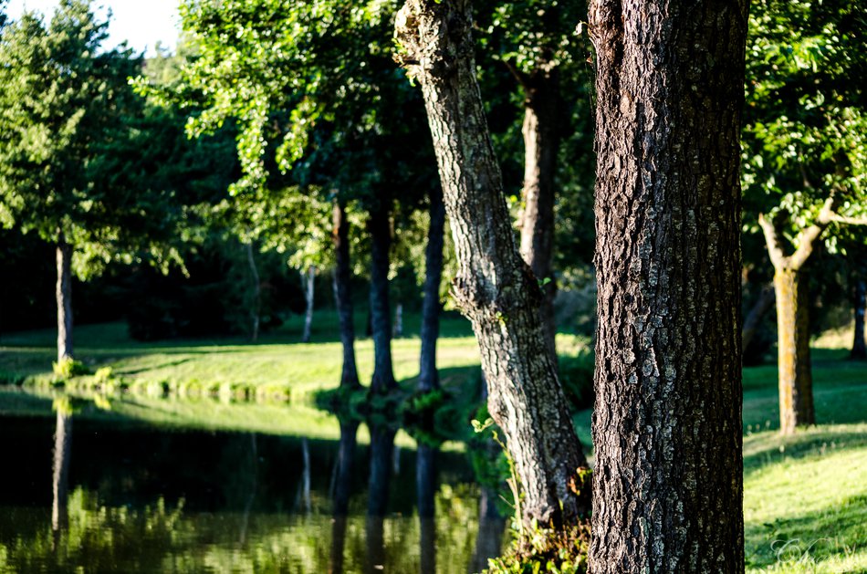 lac fronton