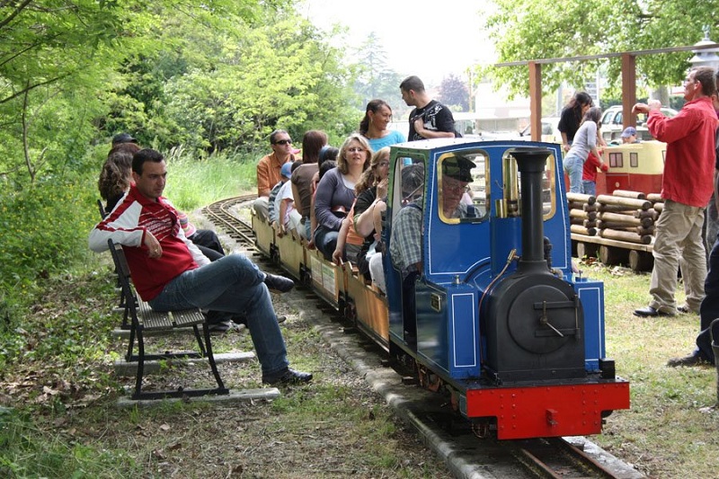 LE PETIT TRAIN DE GRENADE