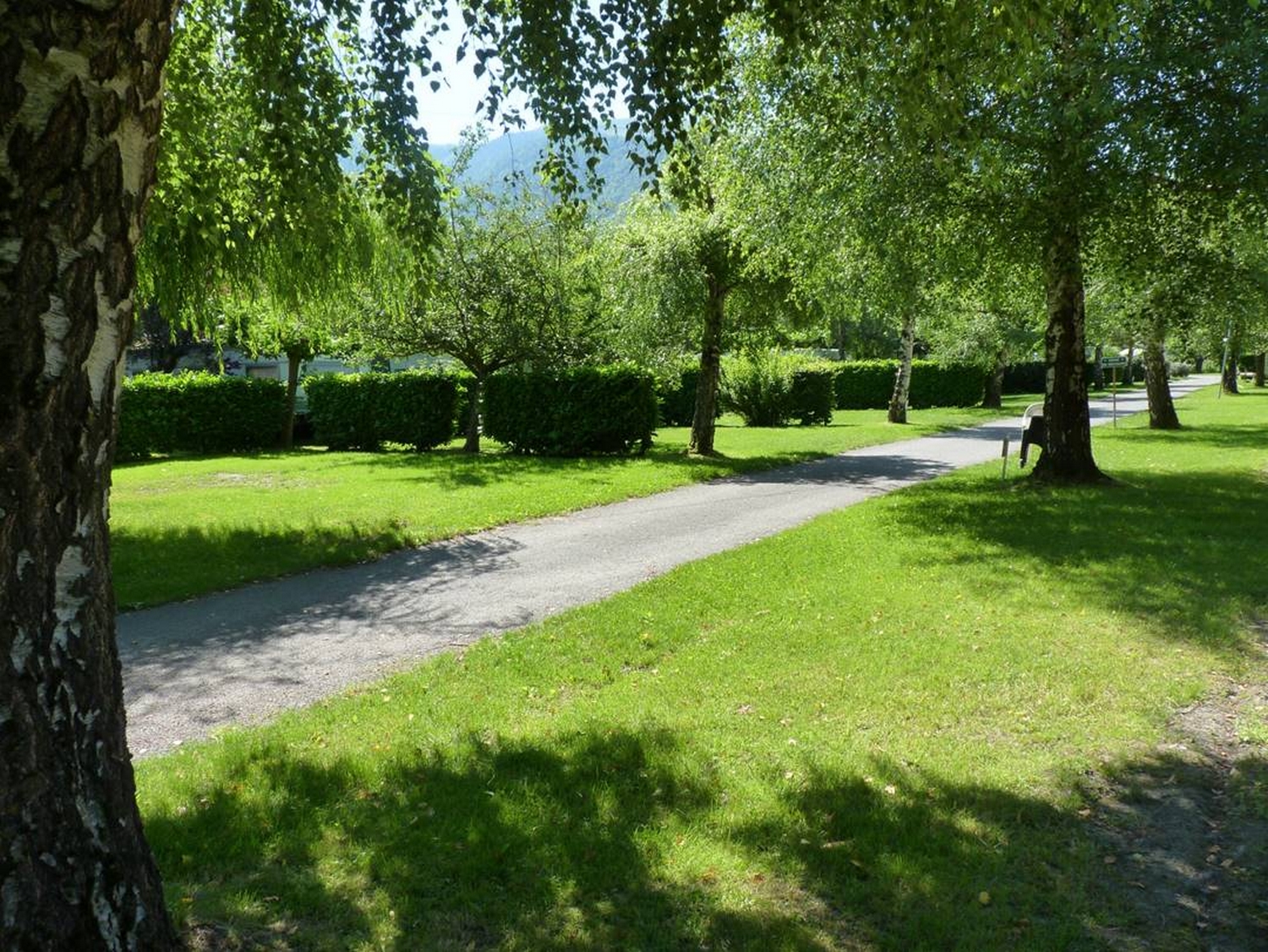 CAMPING LES MYRTILLES - photo 4