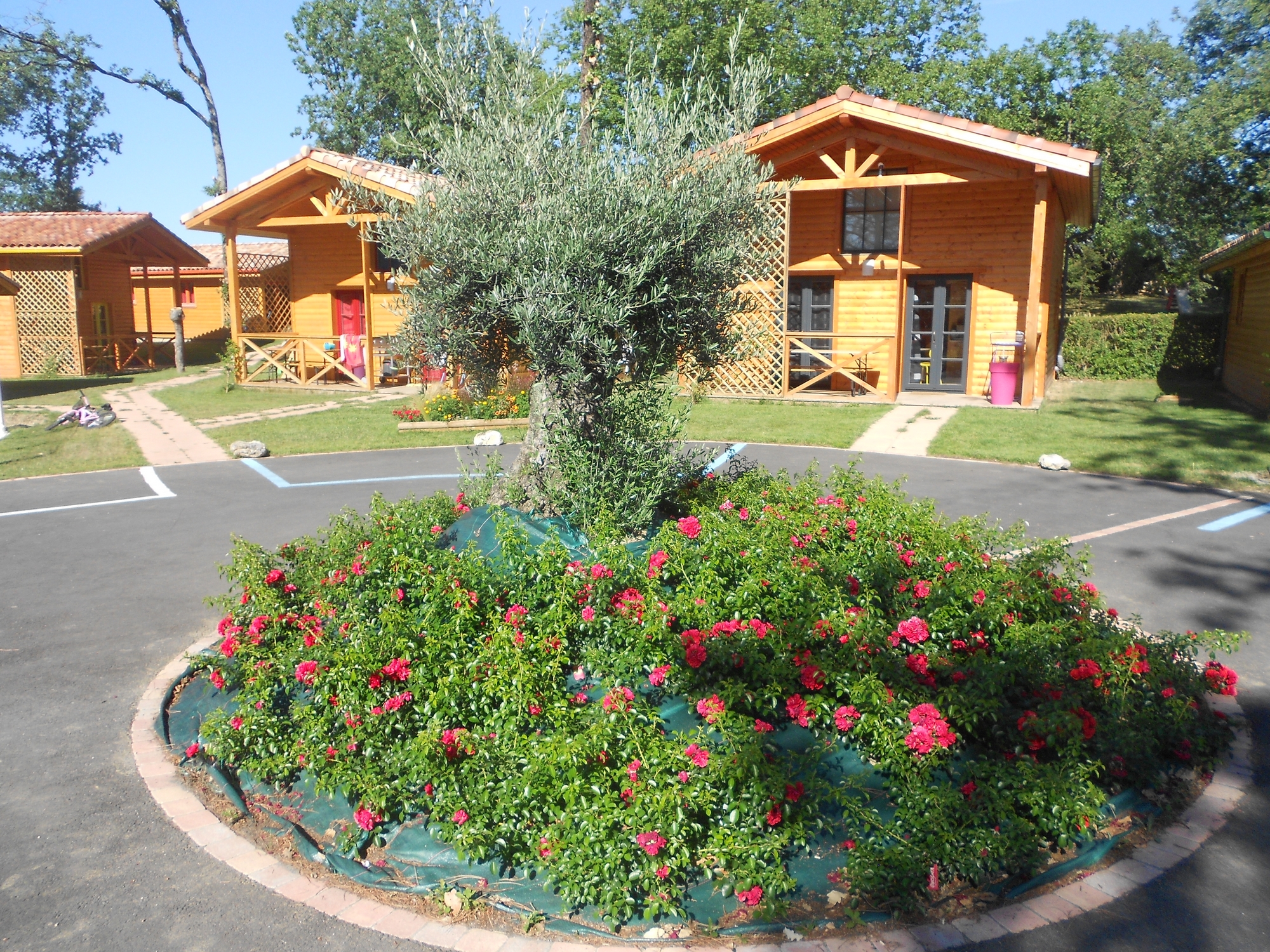 LES GITES DES PALOMBES - CHALET VERT, Fronton - photo 7