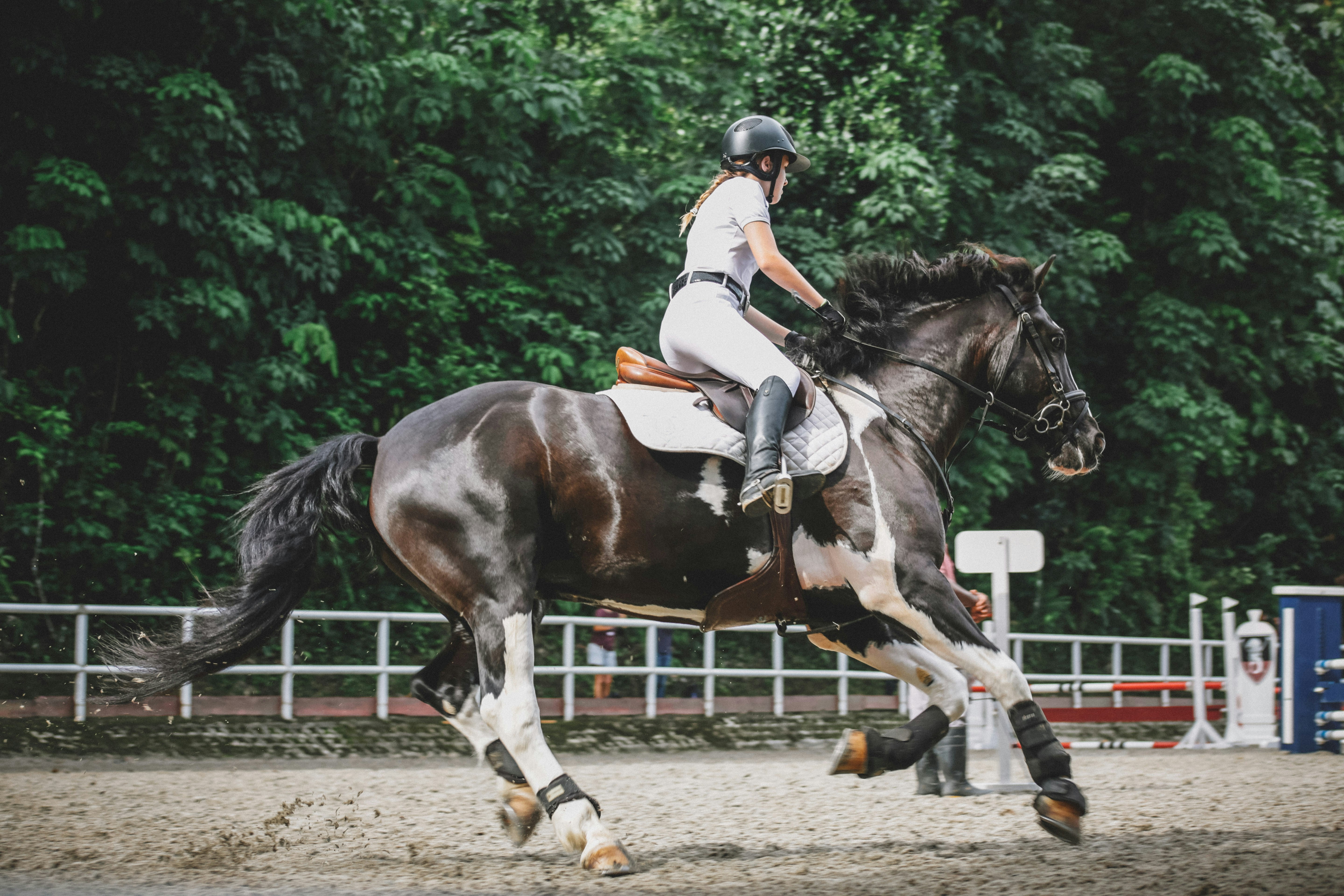 FOLLEMENT CHEVAL Le 15 sept 2024