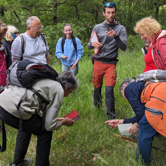 mailholas_echosrandos_gantoinefirmin_fleur_pri@oti