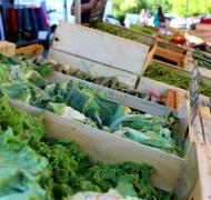 marche_de_cadours (10)