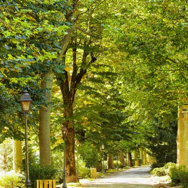 LE PARC DES QUINCONCES