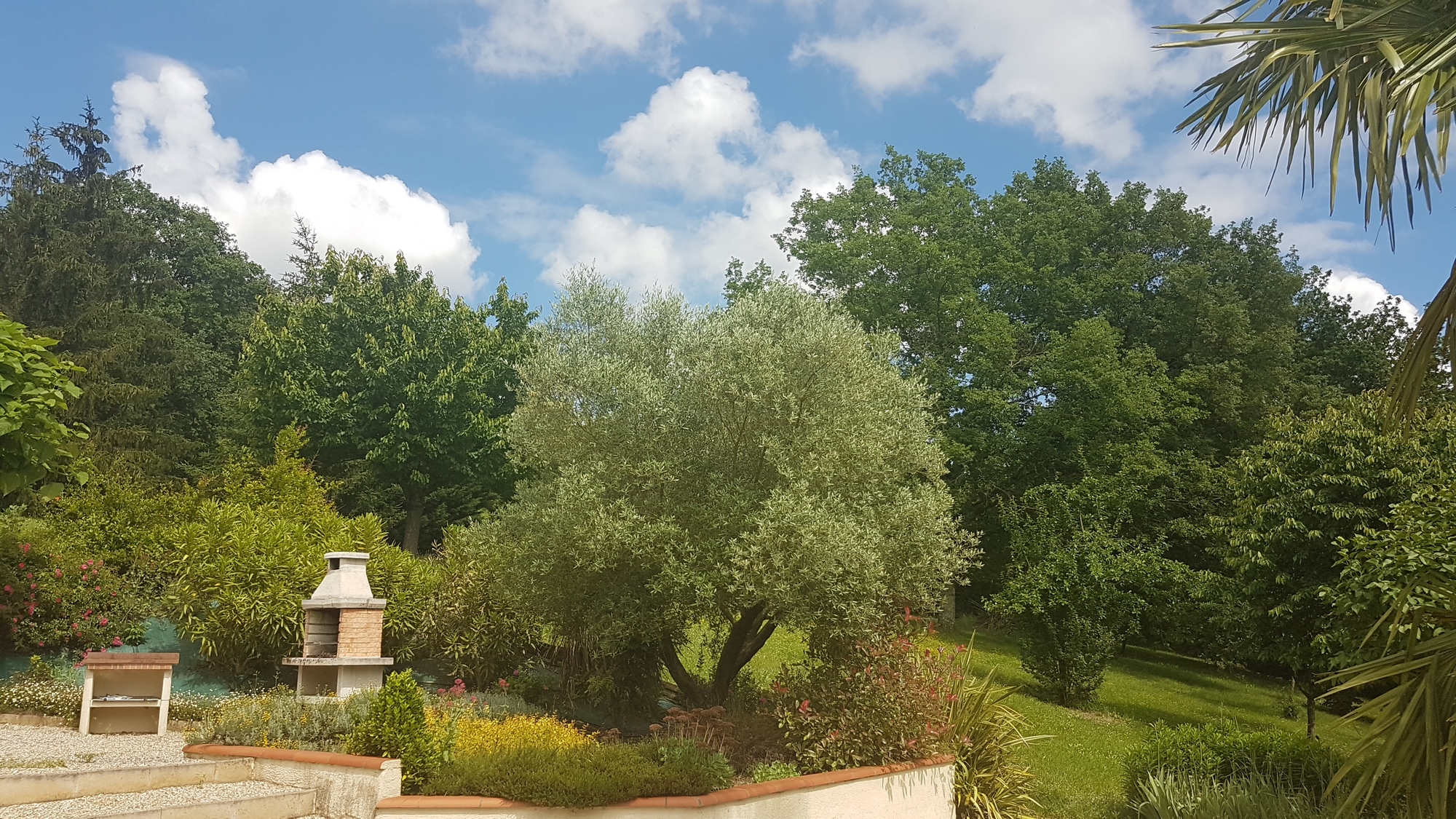 petit paradis 2 VILLEMUR