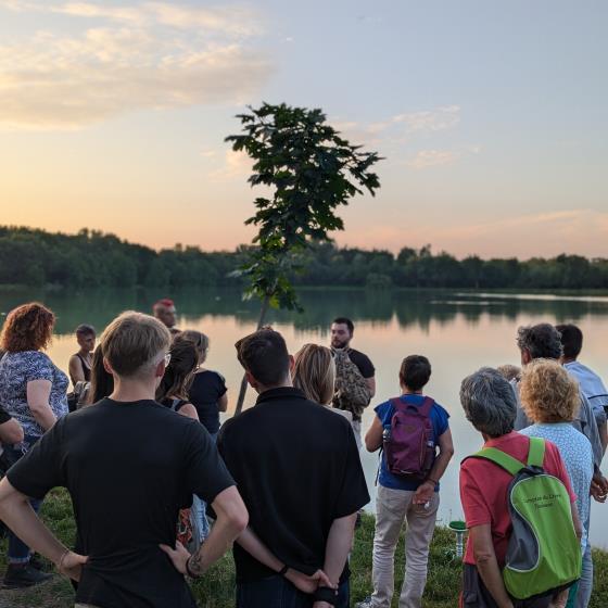 peyssies_echorando_fig_hibou_ete@oti