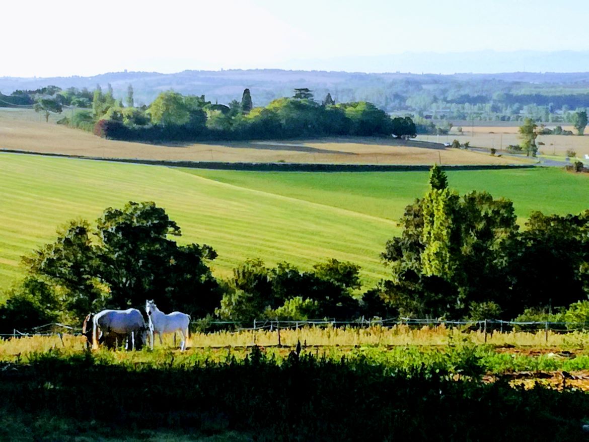 Club hippique de Montlaur