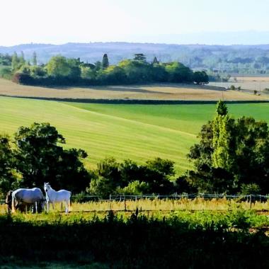 POLE HIPPIQUE DE MONTLAUR