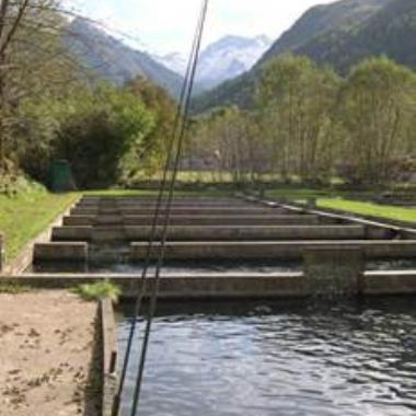 PISCICULTURE DE LA NESTE D'OO