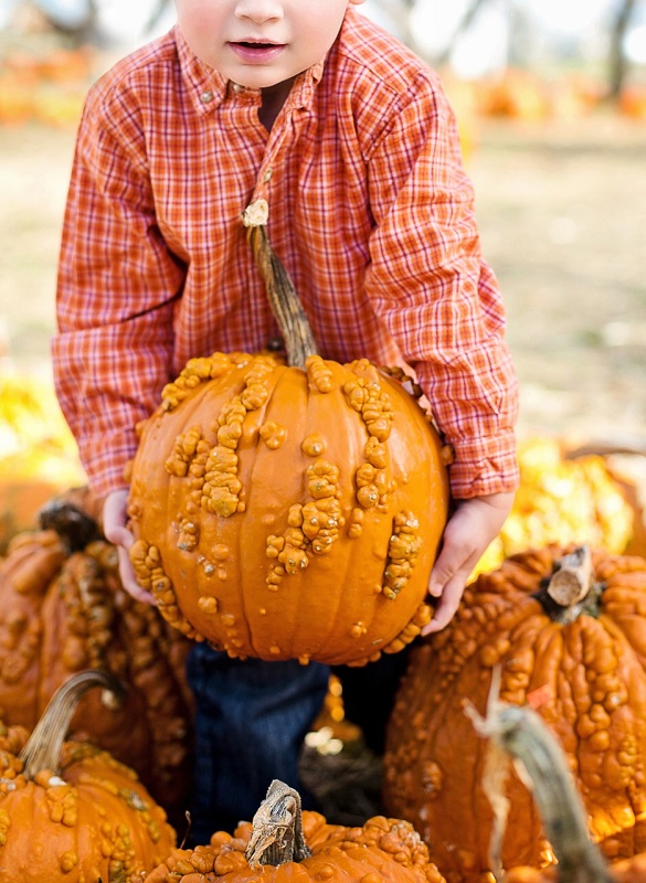 BROCANTE ET SAVEURS D'AUTOMNE